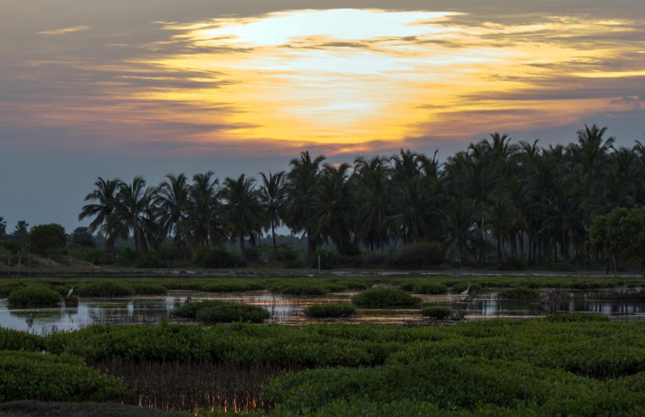 Surfpoint Sri Lanka Kite Village Kalpitiya Εξωτερικό φωτογραφία